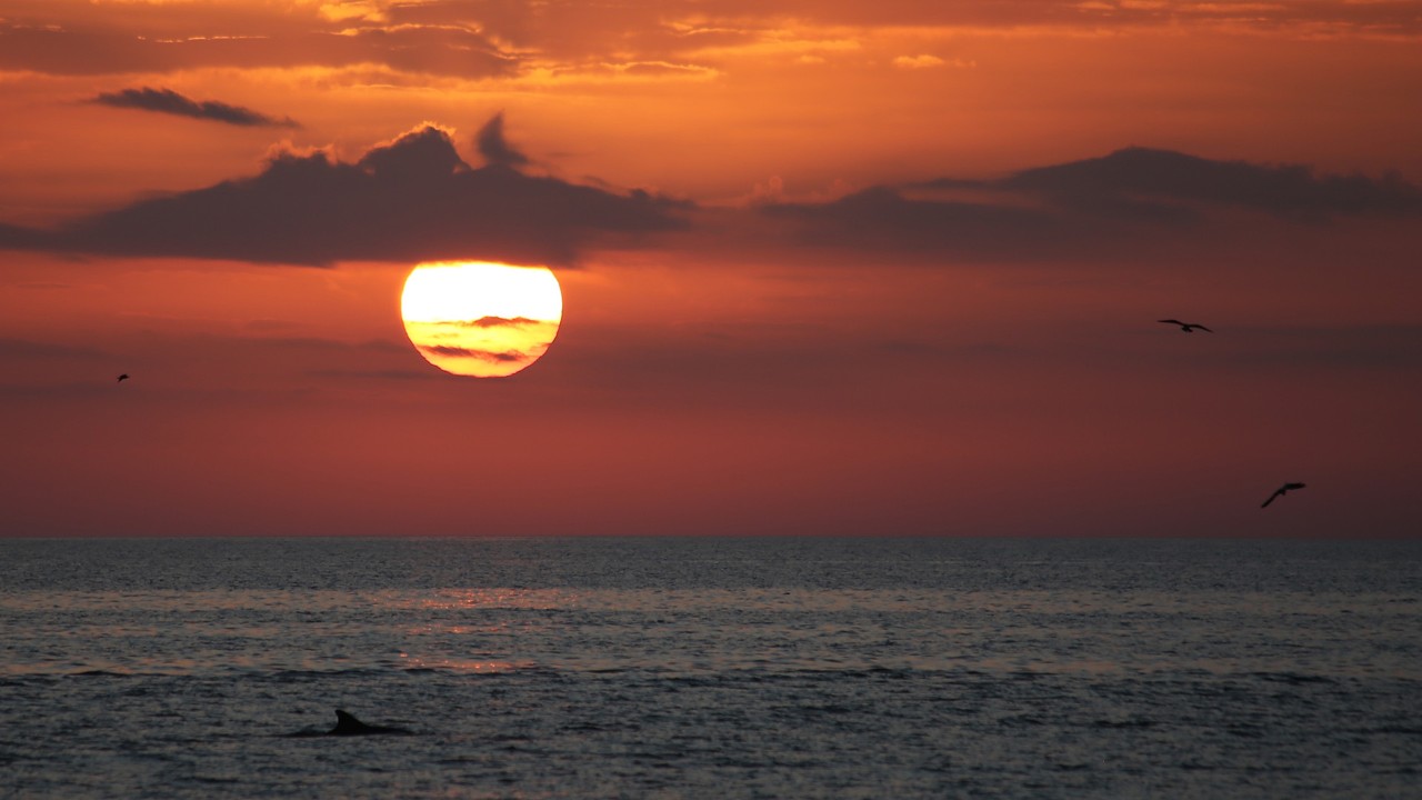 sanibel island
